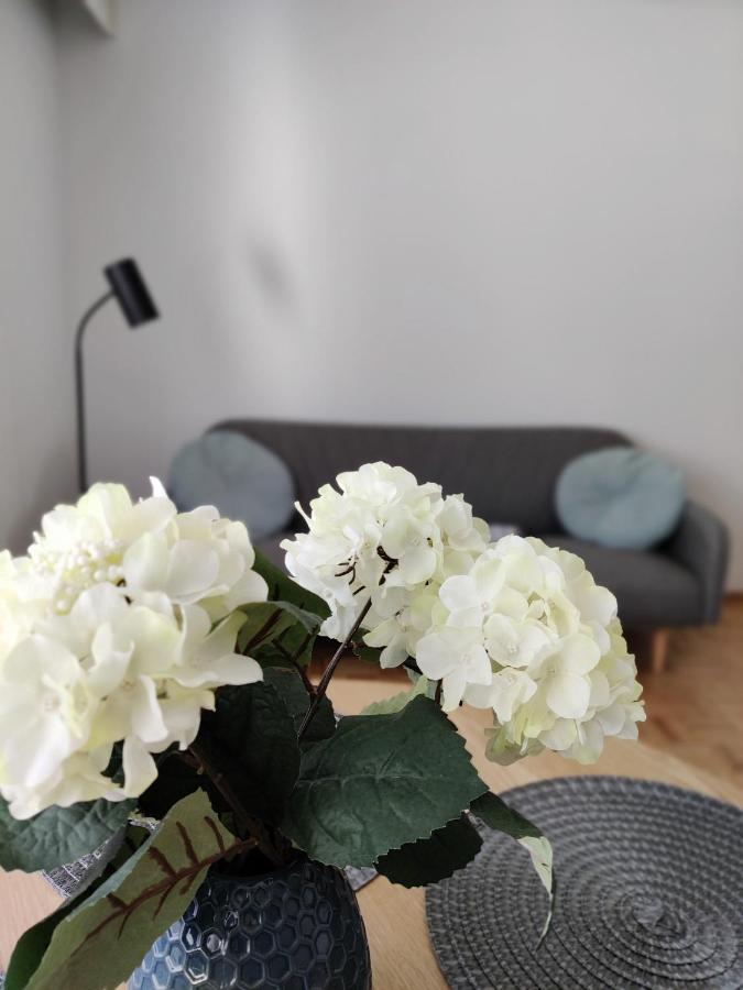 Niinivaara Apartment Saunallinen Ja Ilmastoitu Majoitus Joensuu Dış mekan fotoğraf